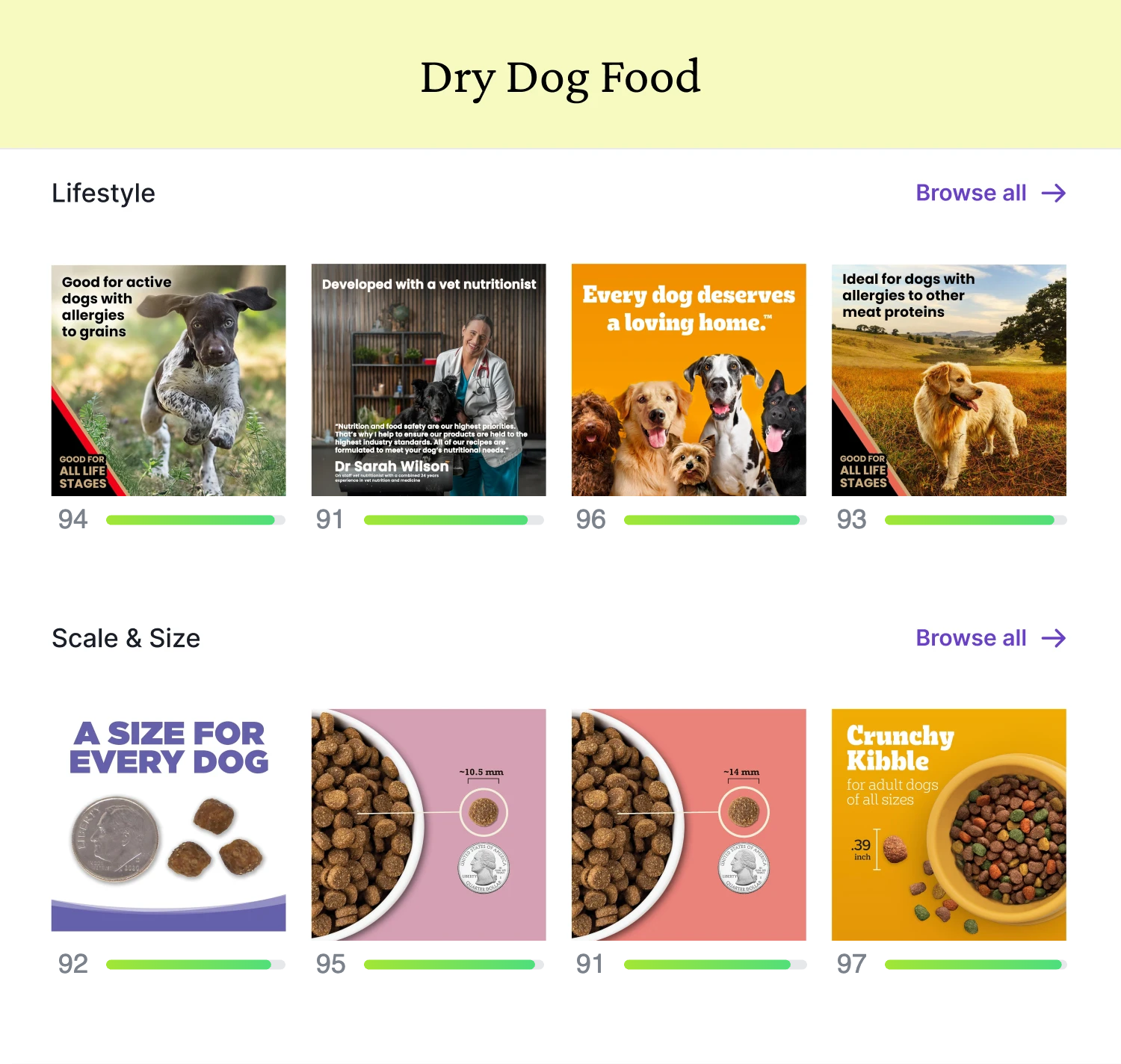 Dry Dog Food top-performing creative